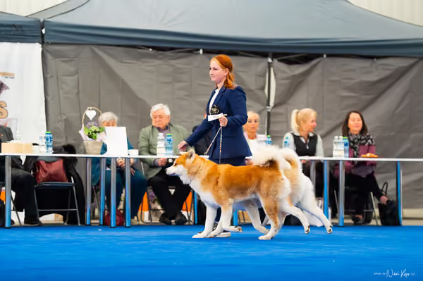 For Pets Cup — DSC02173