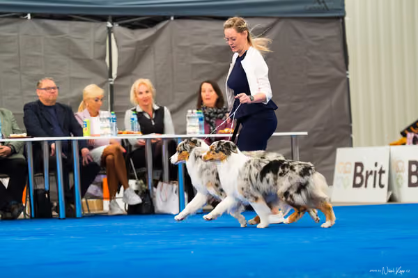 For Pets Cup — DSC02176