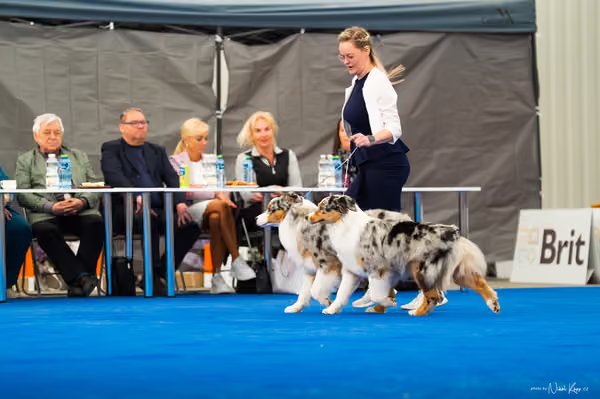 For Pets Cup — DSC02177