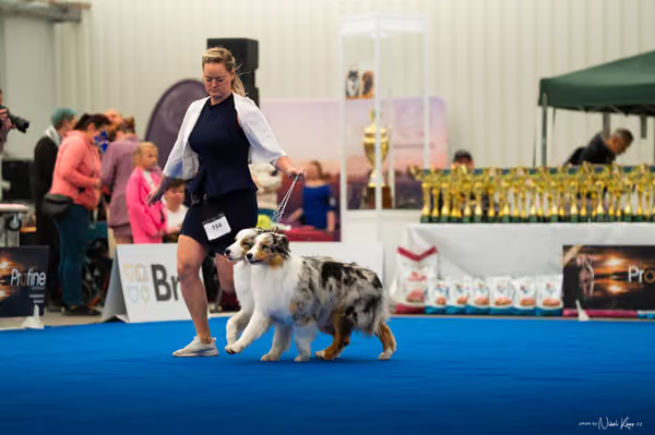 For Pets Cup — DSC02192