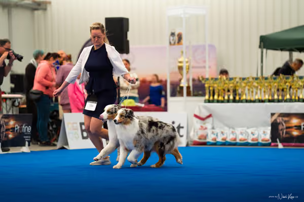 For Pets Cup — DSC02193
