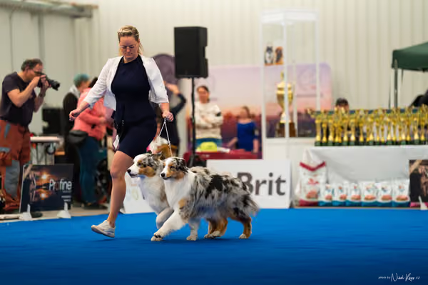 For Pets Cup — DSC02195