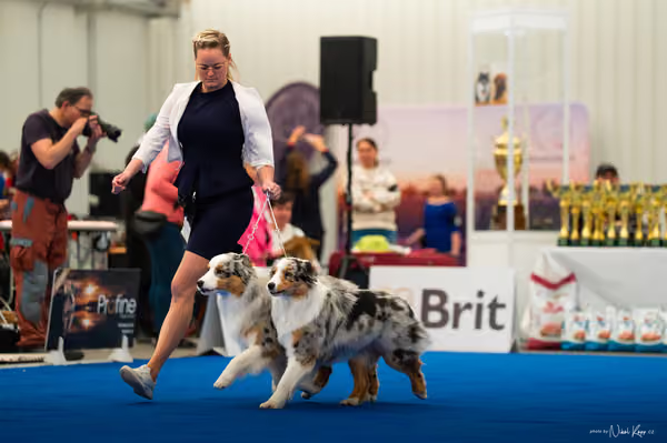 For Pets Cup — DSC02196