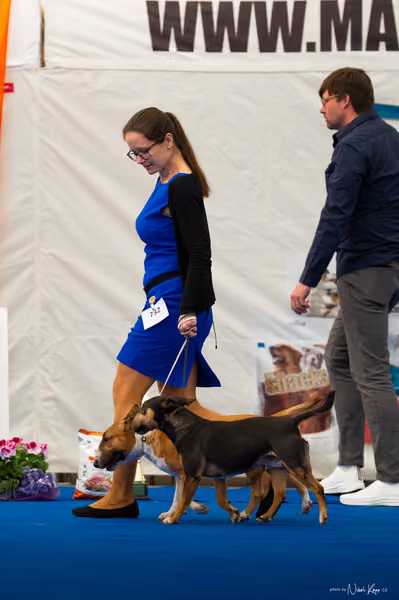For Pets Cup — DSC02201