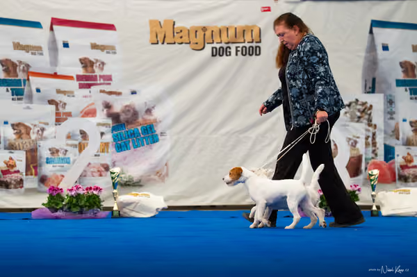 For Pets Cup — DSC02203
