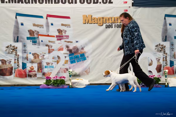 For Pets Cup — DSC02205