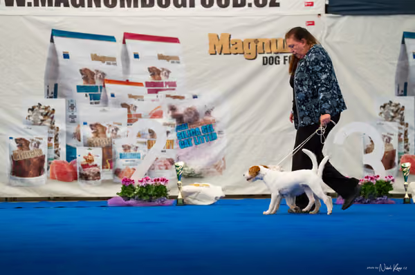 For Pets Cup — DSC02206