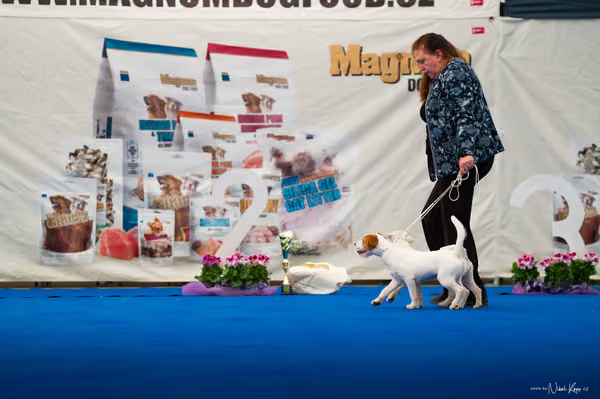 For Pets Cup — DSC02208