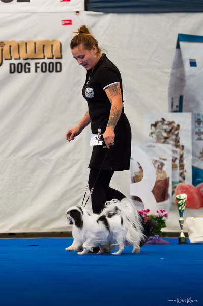 For Pets Cup — DSC02209