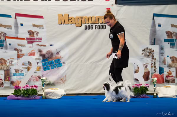 For Pets Cup — DSC02210