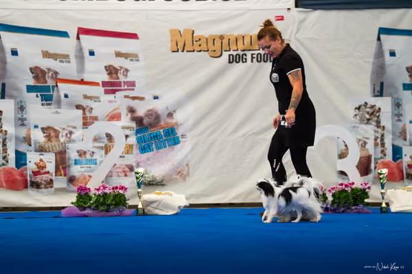 For Pets Cup — DSC02211