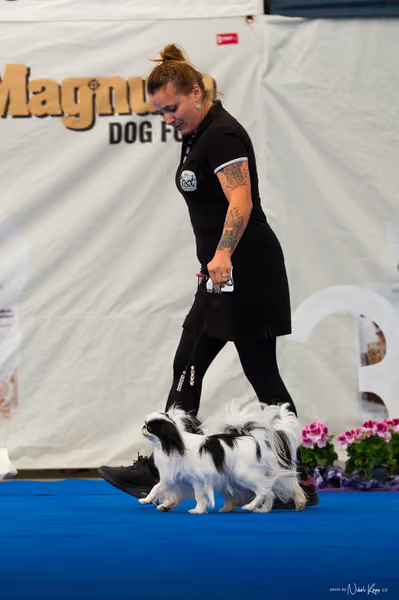 For Pets Cup — DSC02212