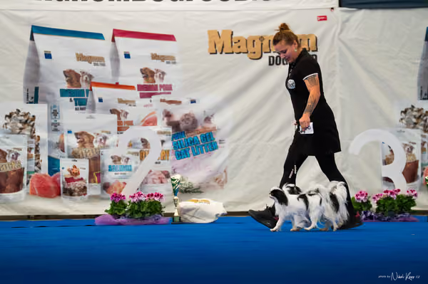 For Pets Cup — DSC02213