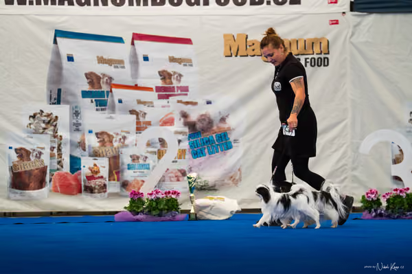 For Pets Cup — DSC02215