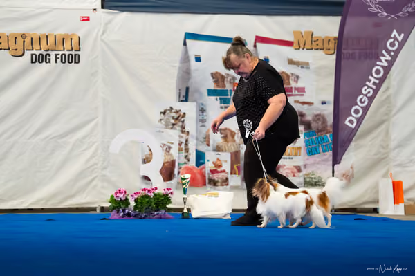 For Pets Cup — DSC02217