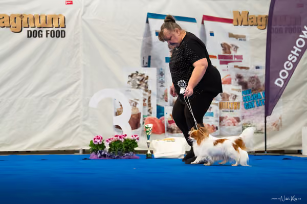 For Pets Cup — DSC02219