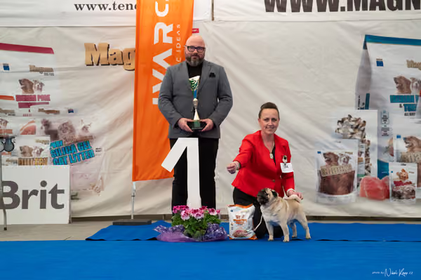 For Pets Cup – Čestná