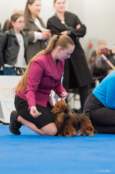 For Pets Cup – Čestná