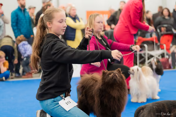 For Pets Cup – Čestná
