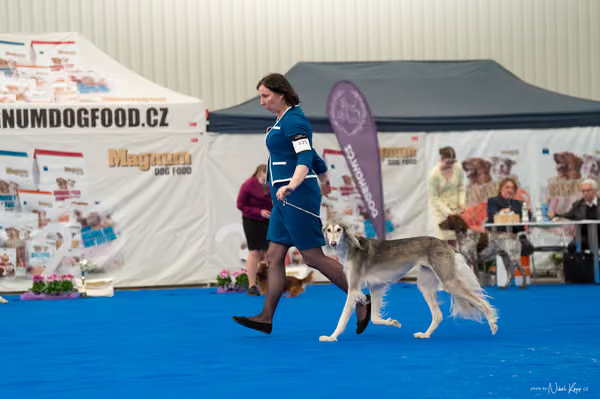 For Pets Cup – Čestná
