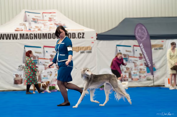 For Pets Cup – Čestná
