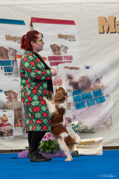 For Pets Cup – Čestná