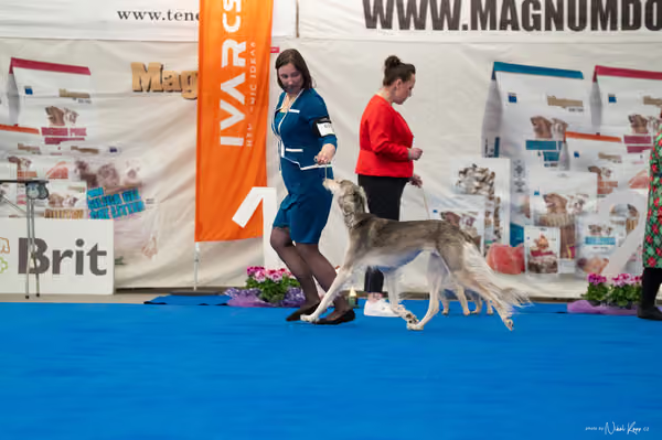 For Pets Cup – Čestná