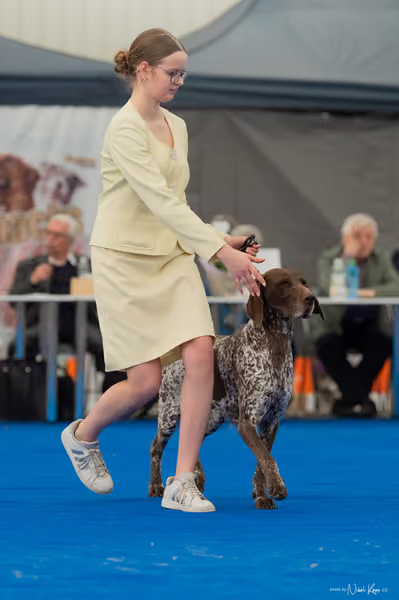 For Pets Cup – Čestná