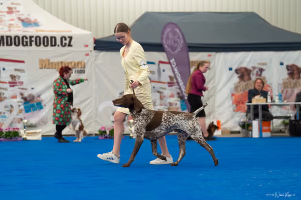 For Pets Cup – Čestná