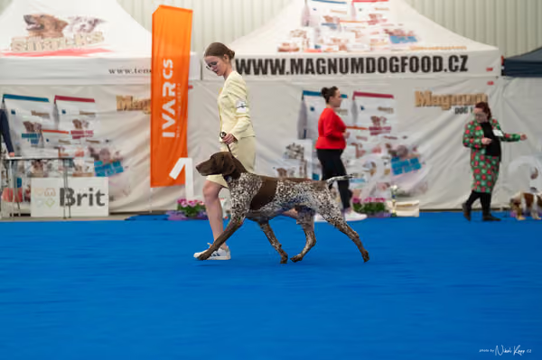 For Pets Cup – Čestná