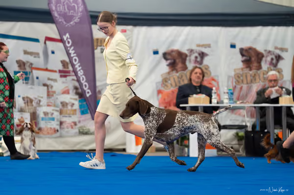 For Pets Cup – Čestná