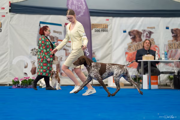 For Pets Cup – Čestná