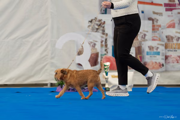 For Pets Cup — DSC03215