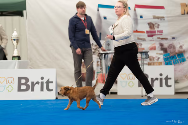 For Pets Cup — DSC03217