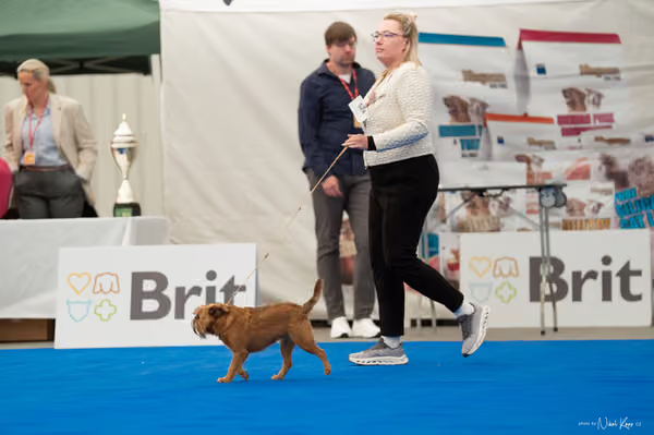 For Pets Cup — DSC03220