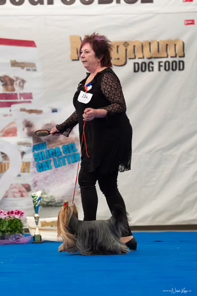 For Pets Cup — DSC03222