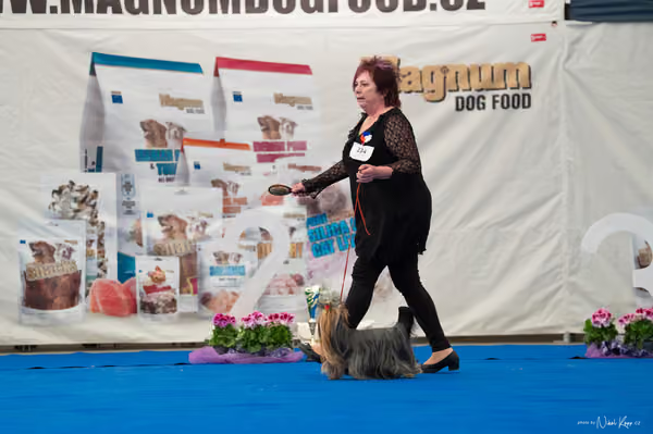 For Pets Cup — DSC03223