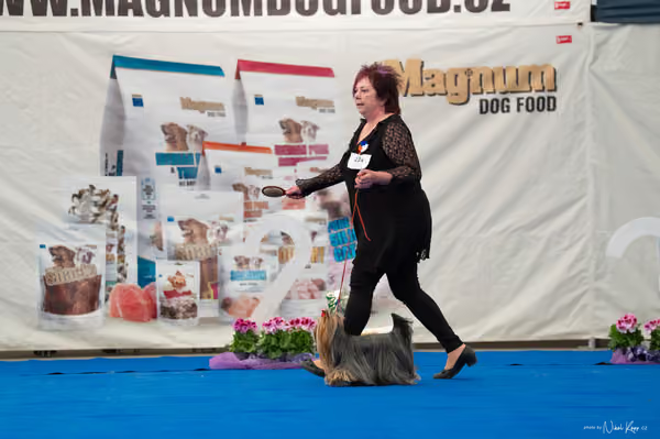 For Pets Cup — DSC03224