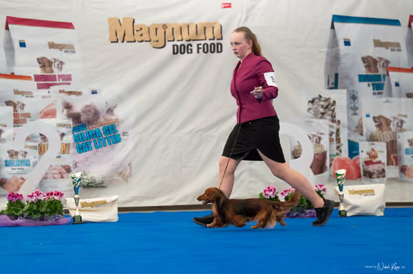 For Pets Cup – Čestná