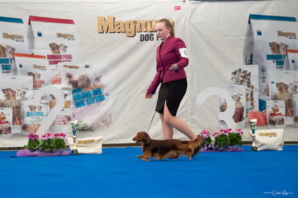 For Pets Cup – Čestná