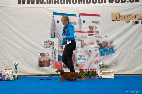 For Pets Cup – Čestná