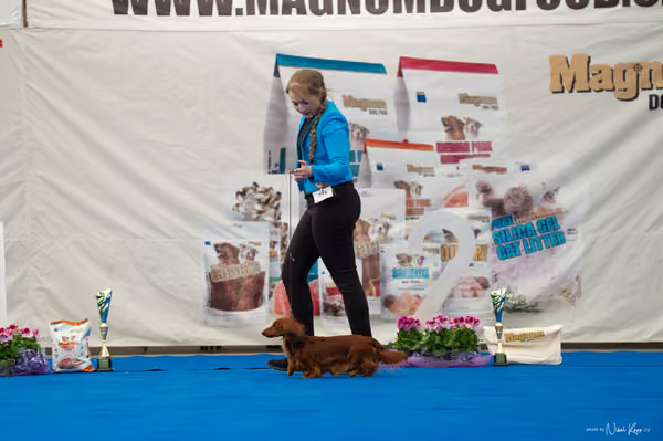 For Pets Cup – Čestná