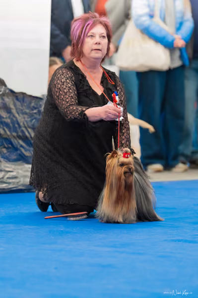 For Pets Cup – Čestná