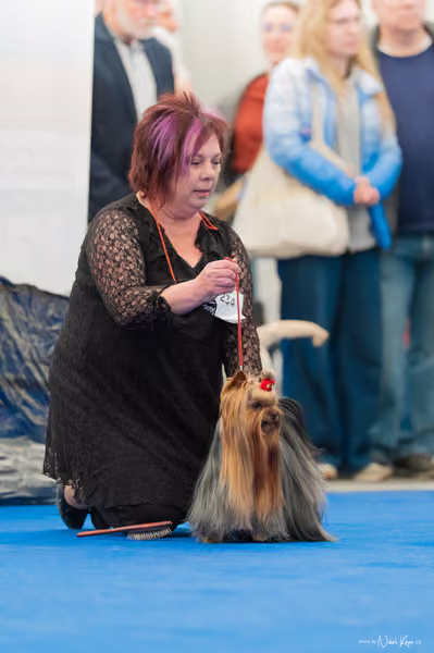 For Pets Cup – Čestná