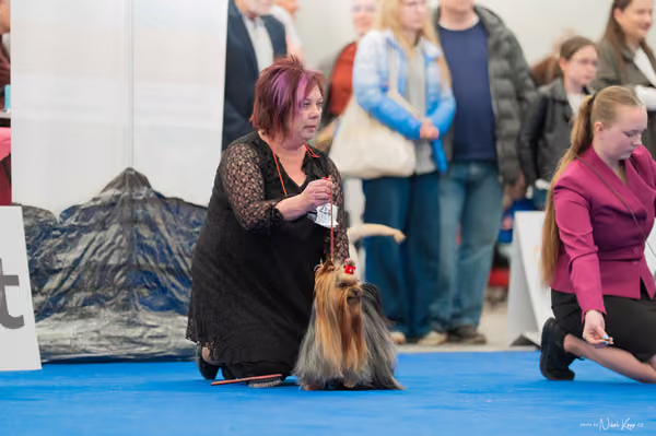 For Pets Cup – Čestná