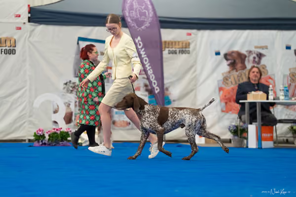 For Pets Cup – Čestná
