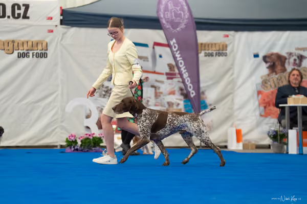 For Pets Cup – Čestná