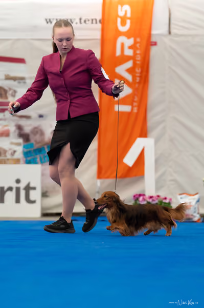 For Pets Cup – Čestná