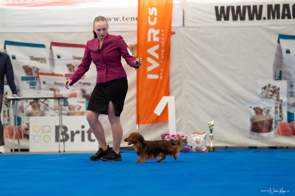 For Pets Cup – Čestná