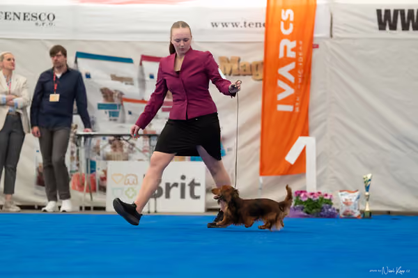 For Pets Cup – Čestná